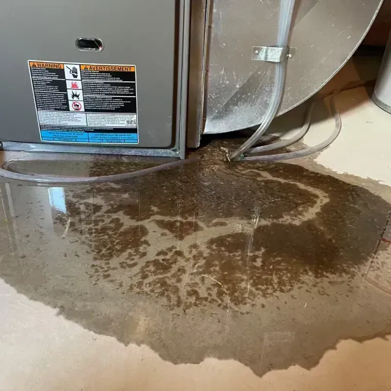 Appliance Leak Cleanup in Jordan, MT